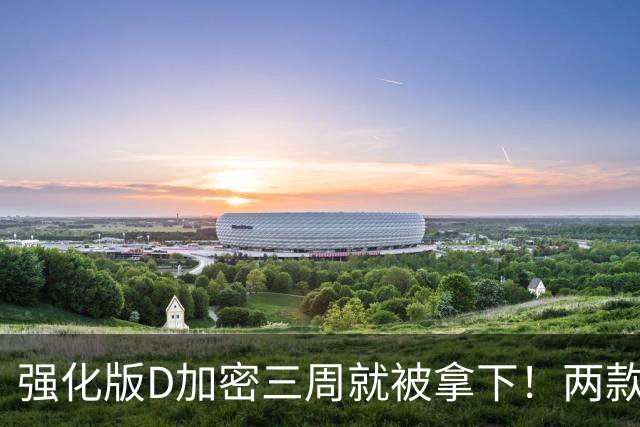强化版D加密三周就被拿下！两款新作惨遭破解