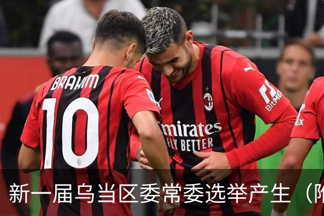 新一届乌当区委常委选举产生（附简历）→