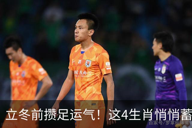 立冬前攒足运气！这4生肖悄悄蓄力，明年日子红火，有你家吗？